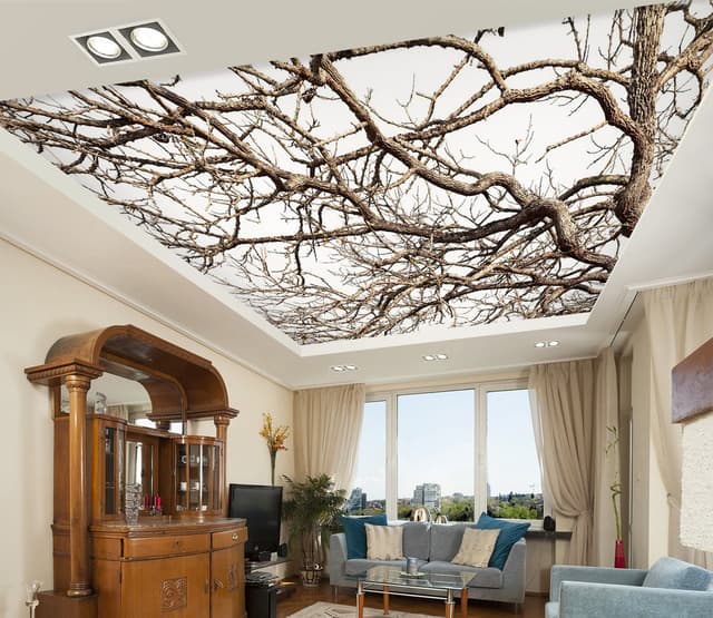 Ceiling Wallpapers project